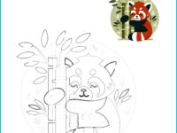 🐼 Panda Coloring Page | Printable PDF with Pre-Colored Example (US Letter 8.5x11)