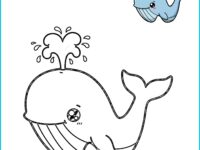 🐋 Whale Coloring Page | Printable PDF with Pre-Colored Example (US Letter 8.5x11)