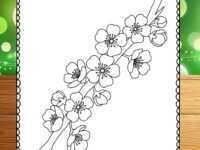 🌸 Cherry Blossom Coloring Page PDF | Kids & Adults | Printable Sakura Art | 8.5x11 | 300 DPI 🎨